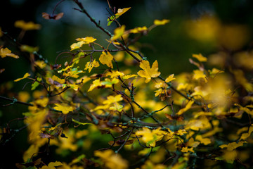 Landscape Karadag National park near Koktebel, Crimea