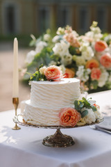 Wedding decoration table in the garden, floral arrangement, In the style vintage on outdoor.  Wedding cake with flowers. Decorated table with flowers, served for two people. Fine art background.