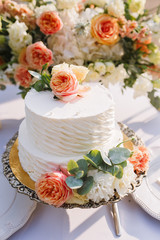 Wedding decoration table in the garden, floral arrangement, In the style vintage on outdoor.  Wedding cake with flowers. Decorated table with flowers, served for two people. Fine art background.
