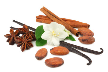 Vanilla sticks with white flower isolated on white background