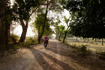 Fototapeta premium Indian villager going to buy some chocolate for his grand son on bicycle on summer days.