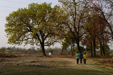 Indian village boys going for playing cricket on summer days.