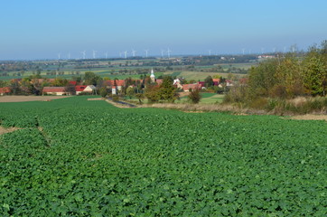 Fototapeta na wymiar Polski krajobraz - pola i wieś, Dolny Śląsk, Granowice