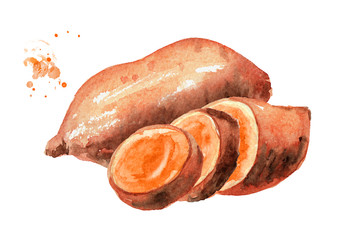 Whole and cut raw sweet potato batat. Watercolor hand drawn illustration isolated on white background