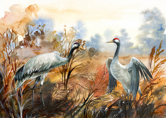 autumn landscape with birds  crane, watercolor illustration - 306218743