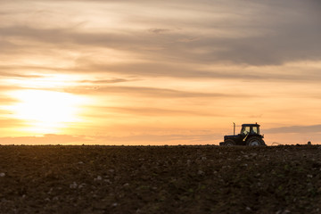 Fototapeta premium Trattore - Agricoltura