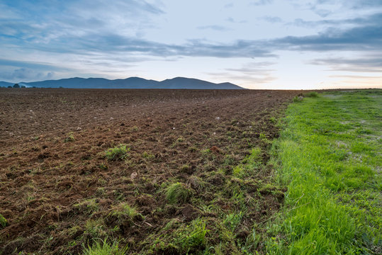 Trattore - Agricoltura