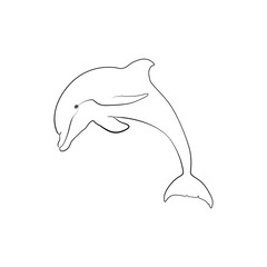 Dolphin one line illustration