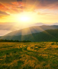 Obraz premium splendid summer sunrise vertical landscape, spectacular morning dawn in Carpathian mountains, meadow in first rays of sun , east Europe travel, Ukraine, discover yourself beauty world