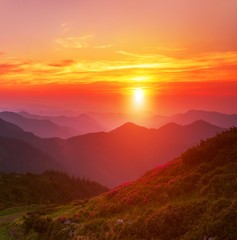 amazing scenic image, pink spring flowers blooming on slopes of mountains