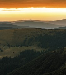 beautiful summer dawn view on European carpathian mountains, hills covered spruces on background golden red sky, beauty world of nature, vertical orientation morning image