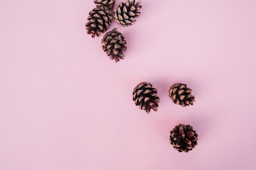 Christmas winter composition. Pine and spruce cones on pink background. Top view, flat lay