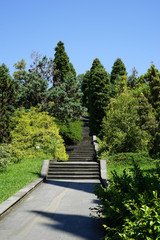 city, rest, palm tree, path, nature, garden, park,