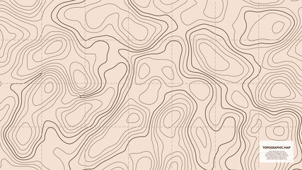 Topographic world map. Vector for your design