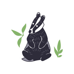 Badger vector illustration. Hand drawn cute Meles meles sitting with leaves.