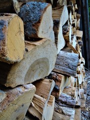The Woodpile