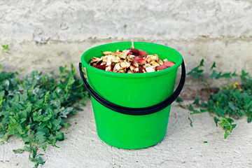 Kitchen bin with apple leftovers (scraps, peelings). Fruit waste in garbage can, throwing in the garden as organic and ecological fertilizer. Conception of composing and recycling food waste. Compost