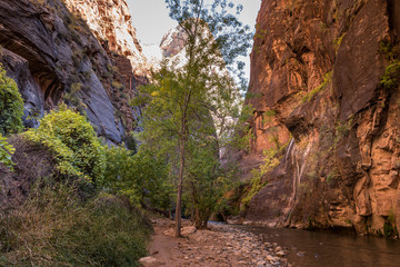 zion narrows