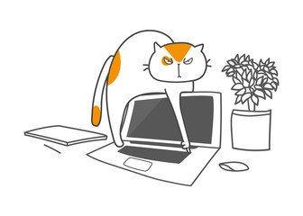 Cute cat character with laptop, design outline of cat. kitty working at the computer online. Draw doodle style. 