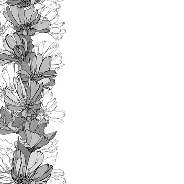 Monochrome floral vertical border with gray flowers chicory and leaves on white. Hand drawn. For your design, greeting cards, wedding invitation. Copy space. Vector stock illustration.