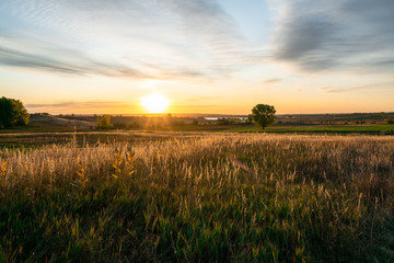 Golden sunrise over a meadow with far views