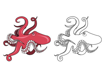 Octopus outline illustration isolated on white background. Stock vector for coloring book.