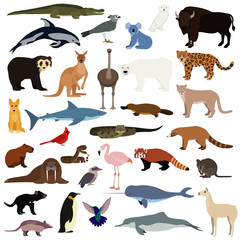 Big animal collection. Vector set of wild animals and birds. Stock illustration isolated on white background.
