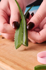 woman blogger holding aloe vera leaf cutted in half