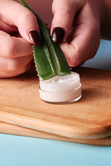 woman blogger holding aloe vera leaf cutted in half showing how to make moisturizing cream
