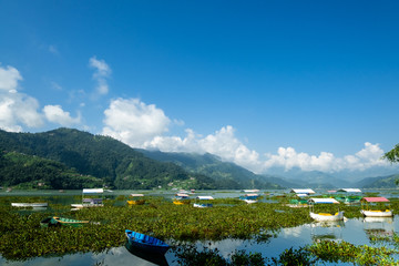 View of Lake Feva (Phewa Lake, Phewa Tal) in Pokhara (Nepal) on the catamarans standing in the green grass and the opposite shore with white clouds above it.