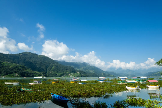 View of Lake Feva (Phewa Lake, Phewa Tal) in Pokhara (Nepal) on the catamarans standing in the green grass and the opposite shore with white clouds above it.