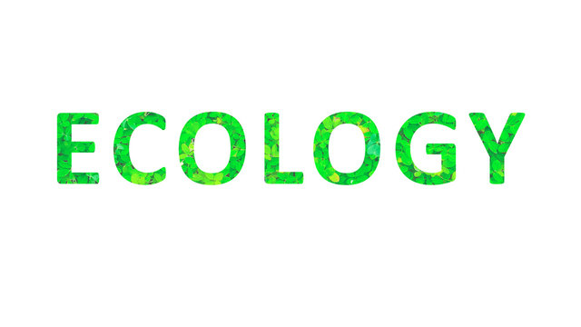 Ecology Concept Typographic Design