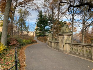 Take in the picturesque landscape of Central Park in thanksgiving day. Central Park is home to many famous attractions spread throughout its 843 acres of landscape. 