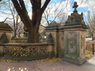Obraz premium Take in the picturesque landscape of Central Park in thanksgiving day. Central Park is home to many famous attractions spread throughout its 843 acres of landscape. 