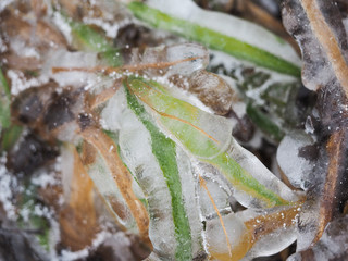The grass in the field instantly froze and cold. An abnormal drop in temperature, a sharp change in the weather