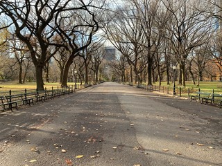 Take in the picturesque landscape of Central Park in thanksgiving day. Central Park is home to many famous attractions spread throughout its 843 acres of landscape. 