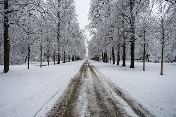 verschneiter Waldweg im tiefsten Winter 