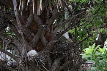 State Parks as Haven
