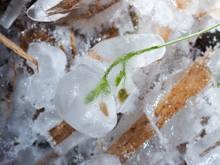 The grass in the field instantly froze and cold. An abnormal drop in temperature, a sharp change in the weather