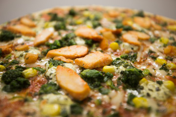 pizza with roasted chicken meat with vegetables