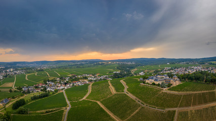 Fototapeta na wymiar Drone photo from German vineyards