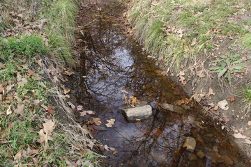 creek