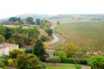 View of the gardens and vineyards in France in autumn rainy and foggy weather
