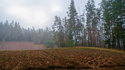 Wzgórza Sokólskie - Podlaska wieś - Krajobraz Podlasia, Polska © podlaski49