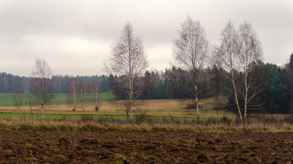 Wzgórza Sokólskie - Podlaska wieś - Krajobraz Podlasia, Polska © podlaski49