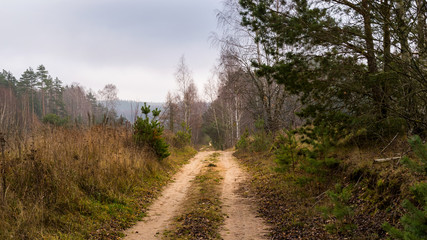 Wzgórza Sokólskie - Podlaska wieś - Krajobraz Podlasia, Polska