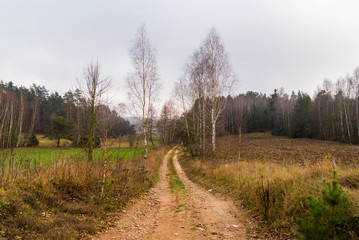 Wzgórza Sokólskie - Podlaska wieś - Krajobraz Podlasia, Polska © podlaski49