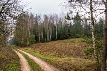 Fototapeta na wymiar Wzgórza Sokólskie - Podlaska wieś - Krajobraz Podlasia, Polska