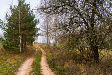 Fototapeta na wymiar Wzgórza Sokólskie - Podlaska wieś - Krajobraz Podlasia, Polska