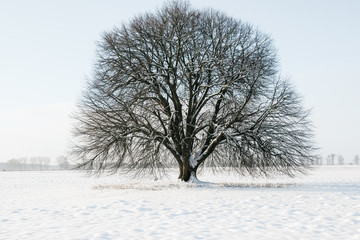 Winterlandschaft